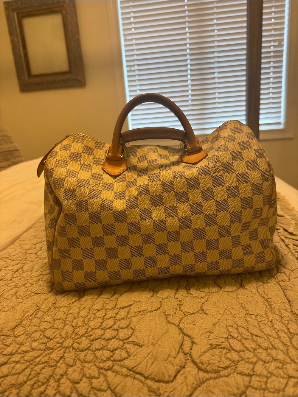 Louis Vuitton damier speedy 30